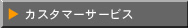 �J�X�^�}�[�U�r�X